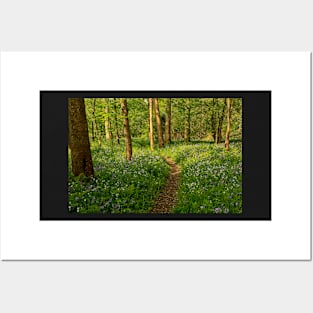 Spring Woodland Wildflowers Posters and Art